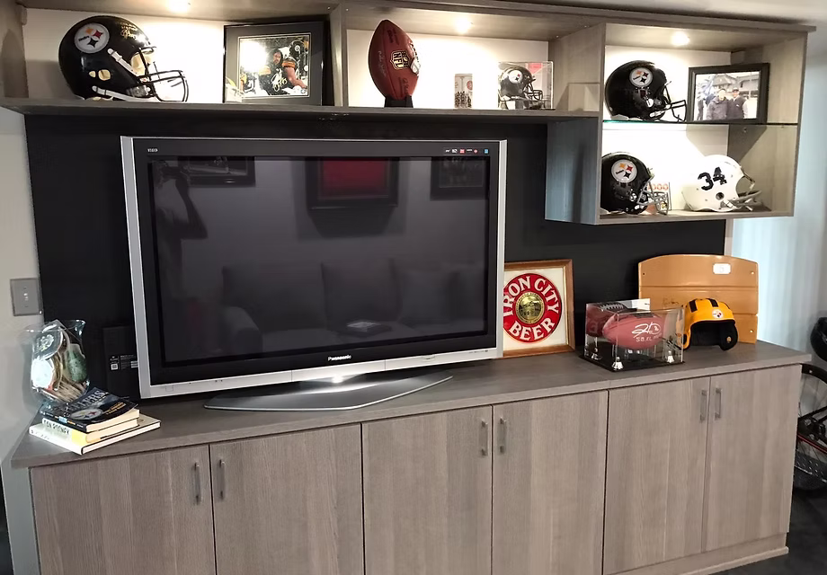Custom Entertainment System